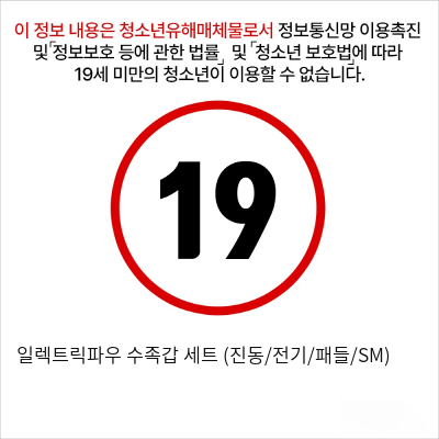 일렉트릭파우 수족갑 세트 (진동/전기/패들/SM)