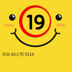 리보 AV스틱 9216